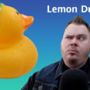 Looking suspiciously at a Lemon Duck