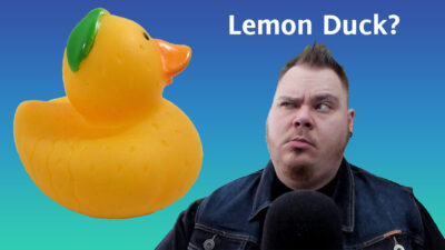 Looking suspiciously at a Lemon Duck