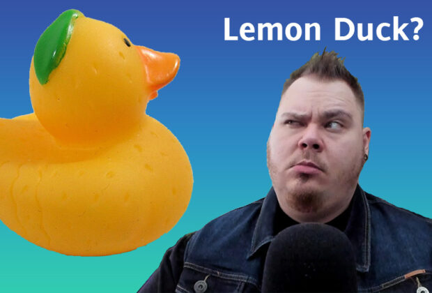 Looking suspiciously at a Lemon Duck