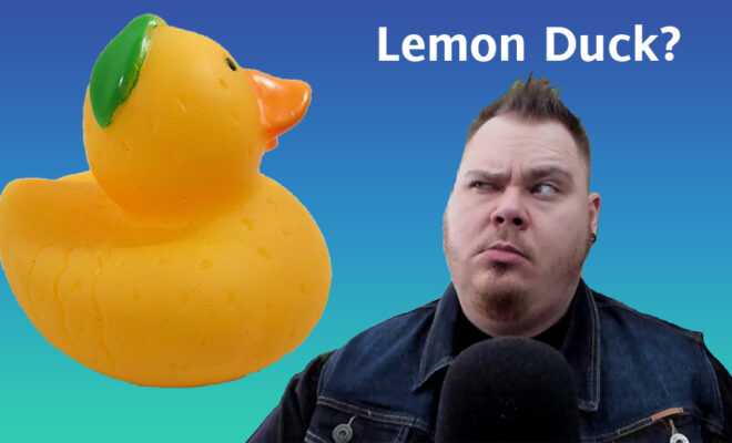 Looking suspiciously at a Lemon Duck